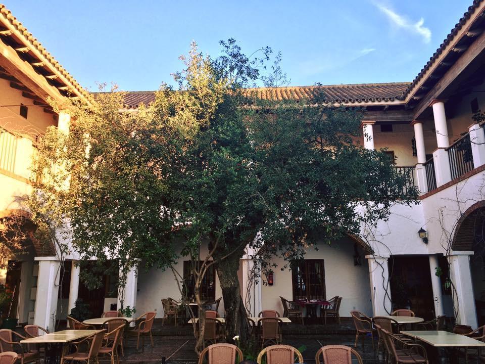 Hotel Cortijo Las Grullas Benalup-Casas Viejas Exterior photo